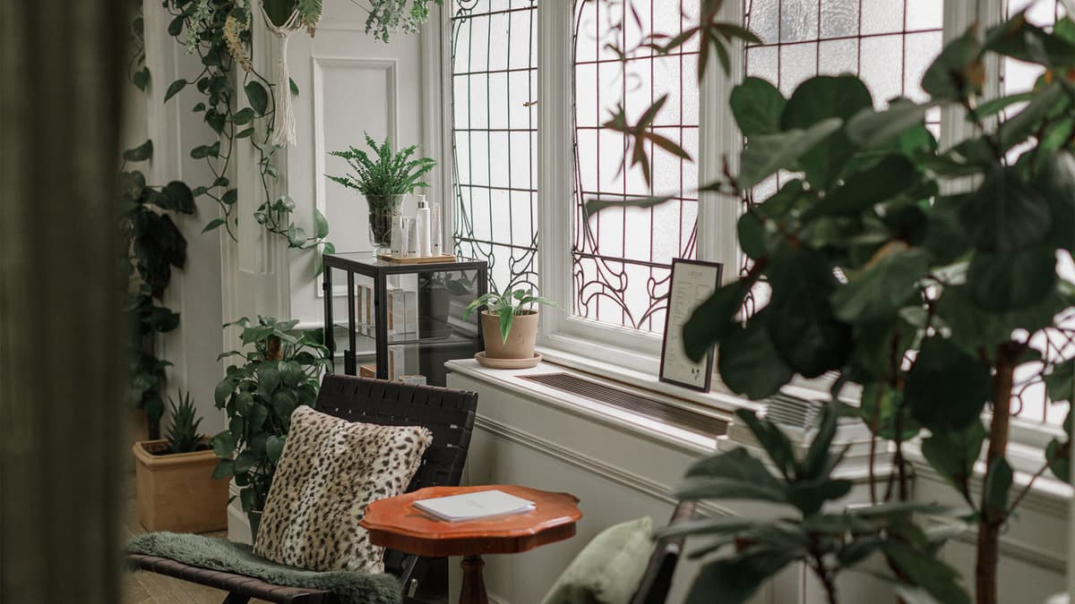 interior-window-plants