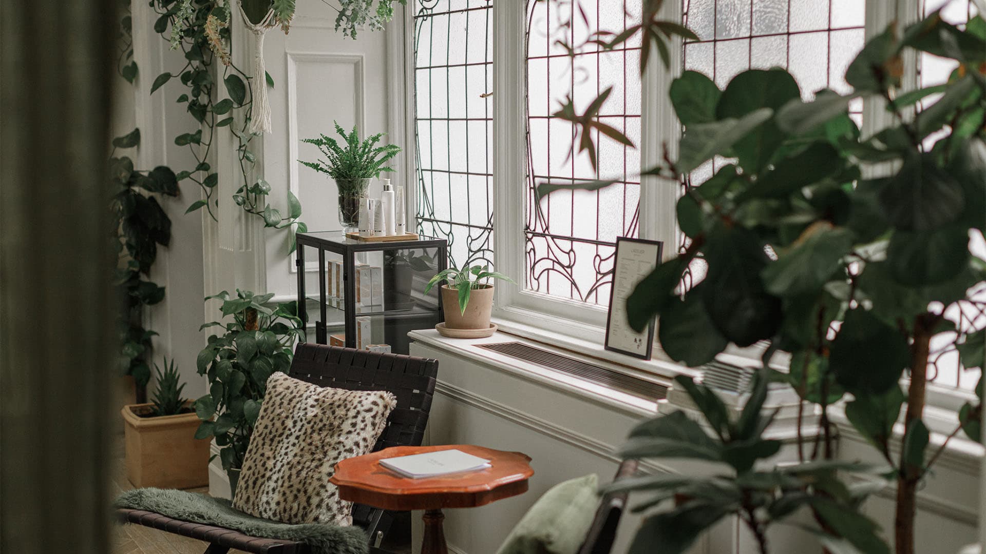 interior-window-plants