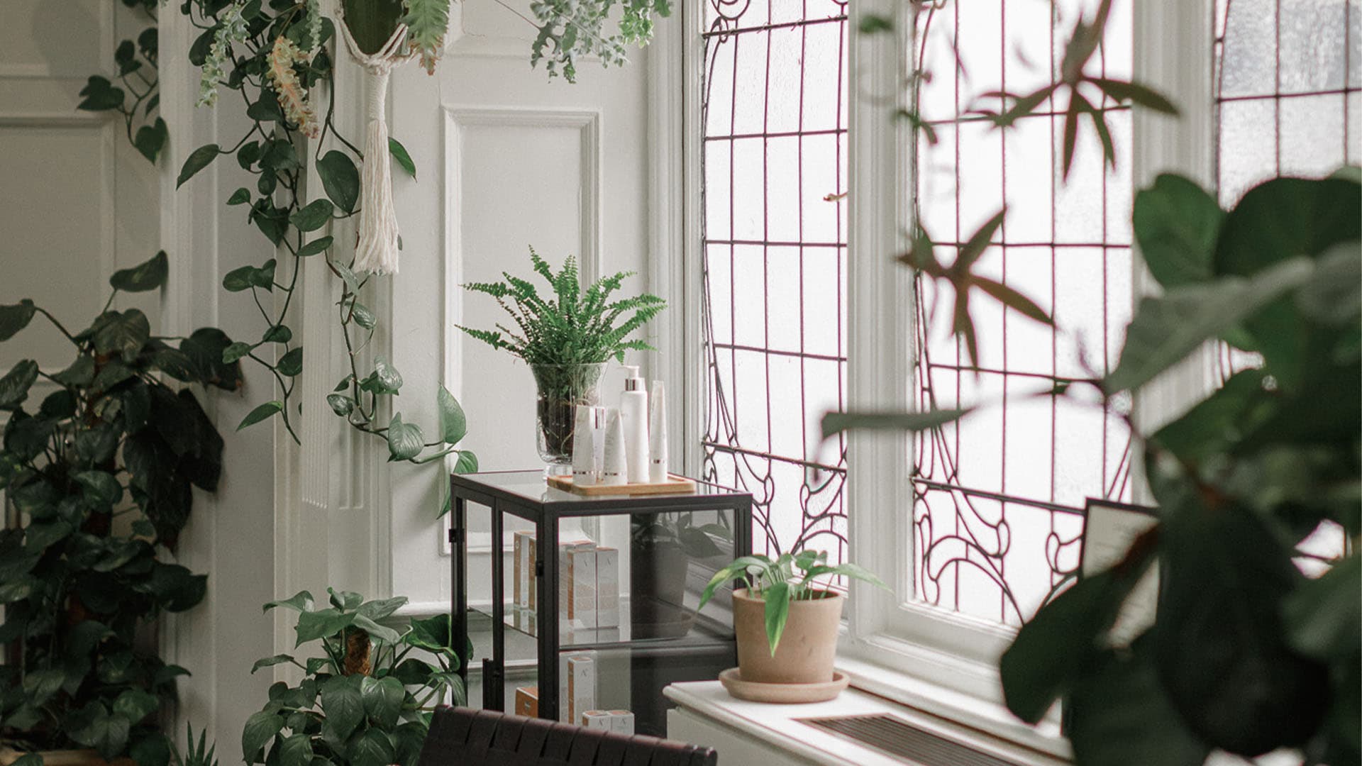 interior-window-plants