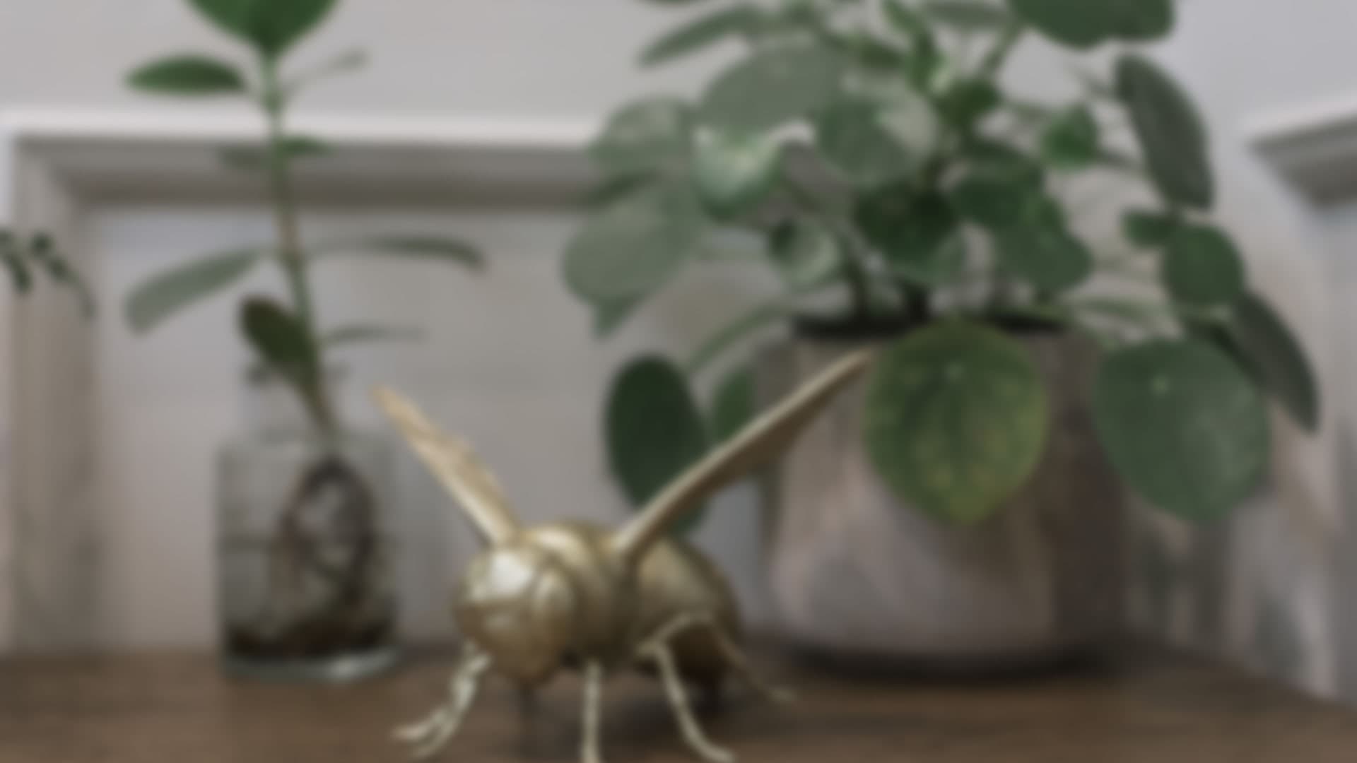 ornaments-plants-blur