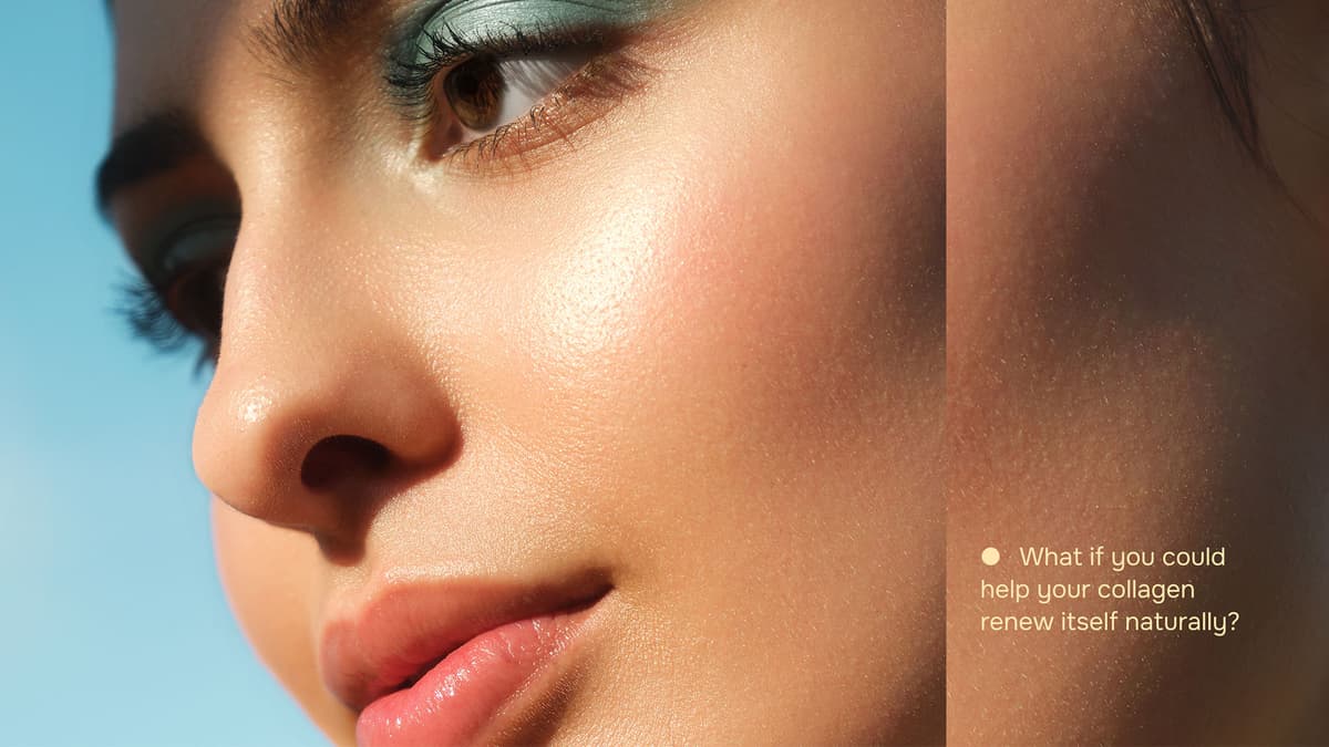 julaine-background-1