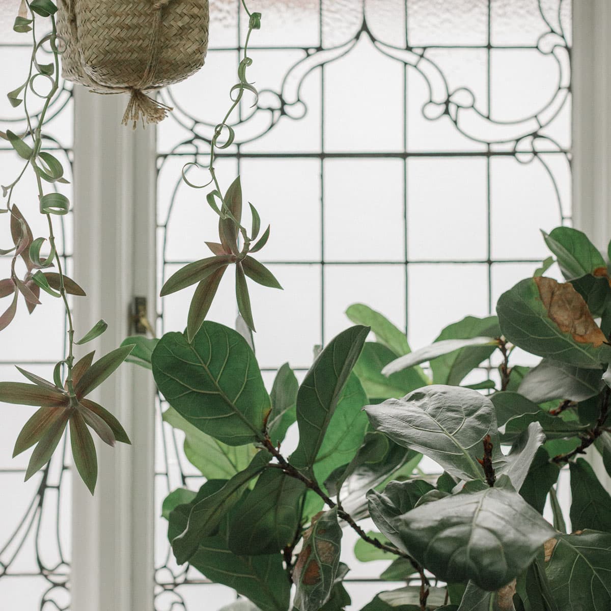 interior-style-window