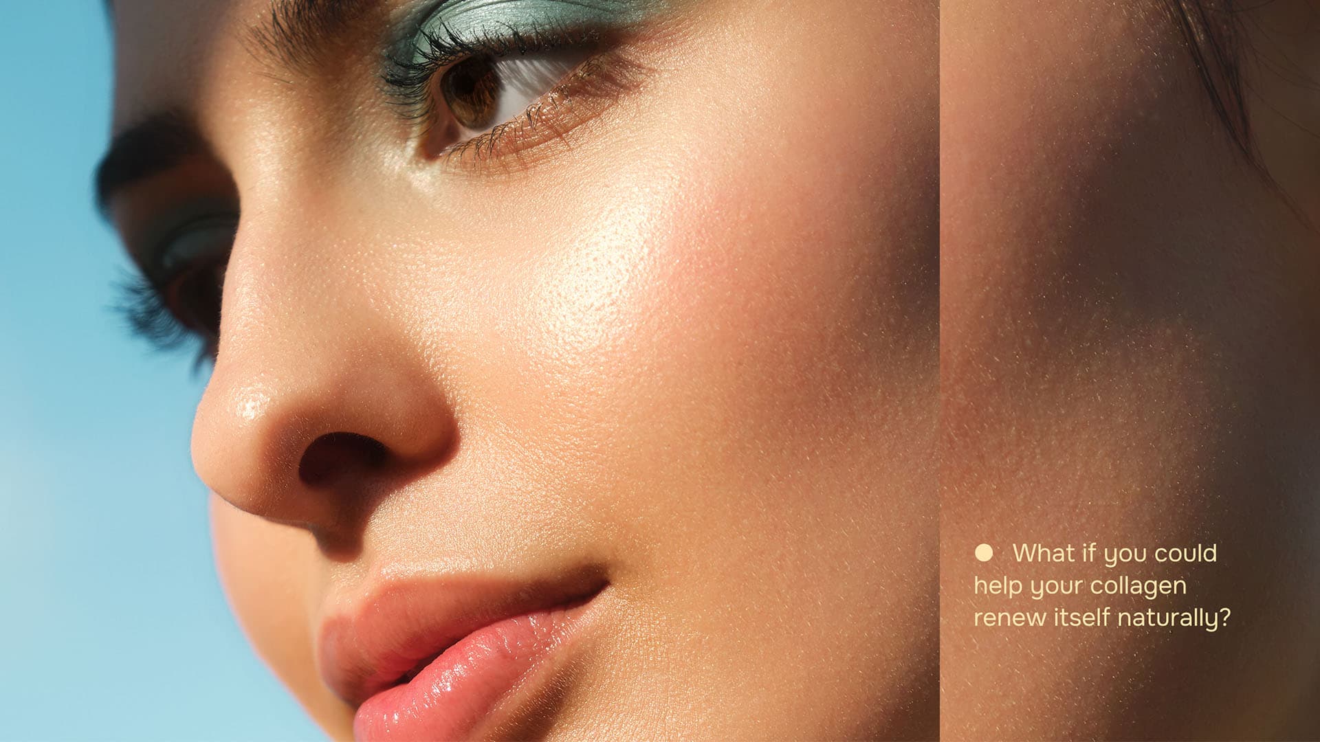 julaine-background-1